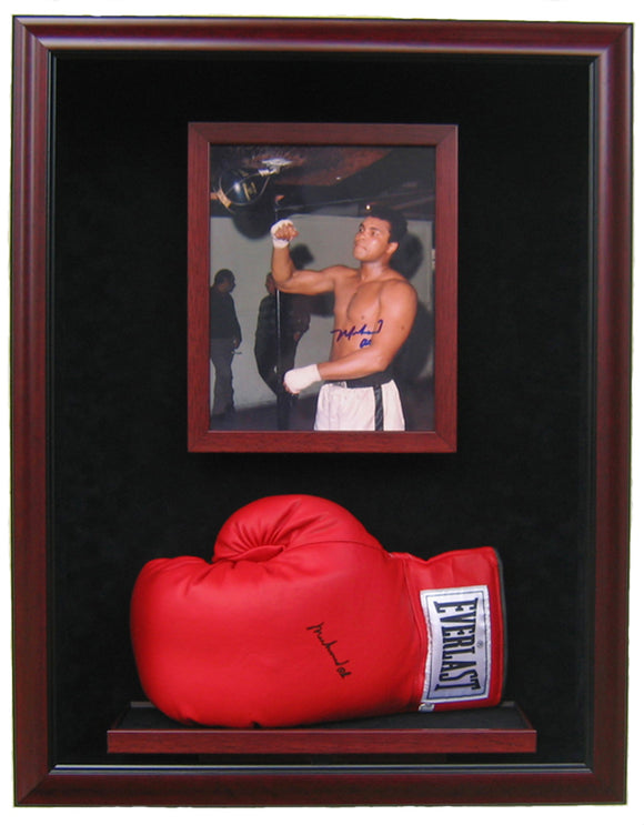 BOXING DISPLAY CASES