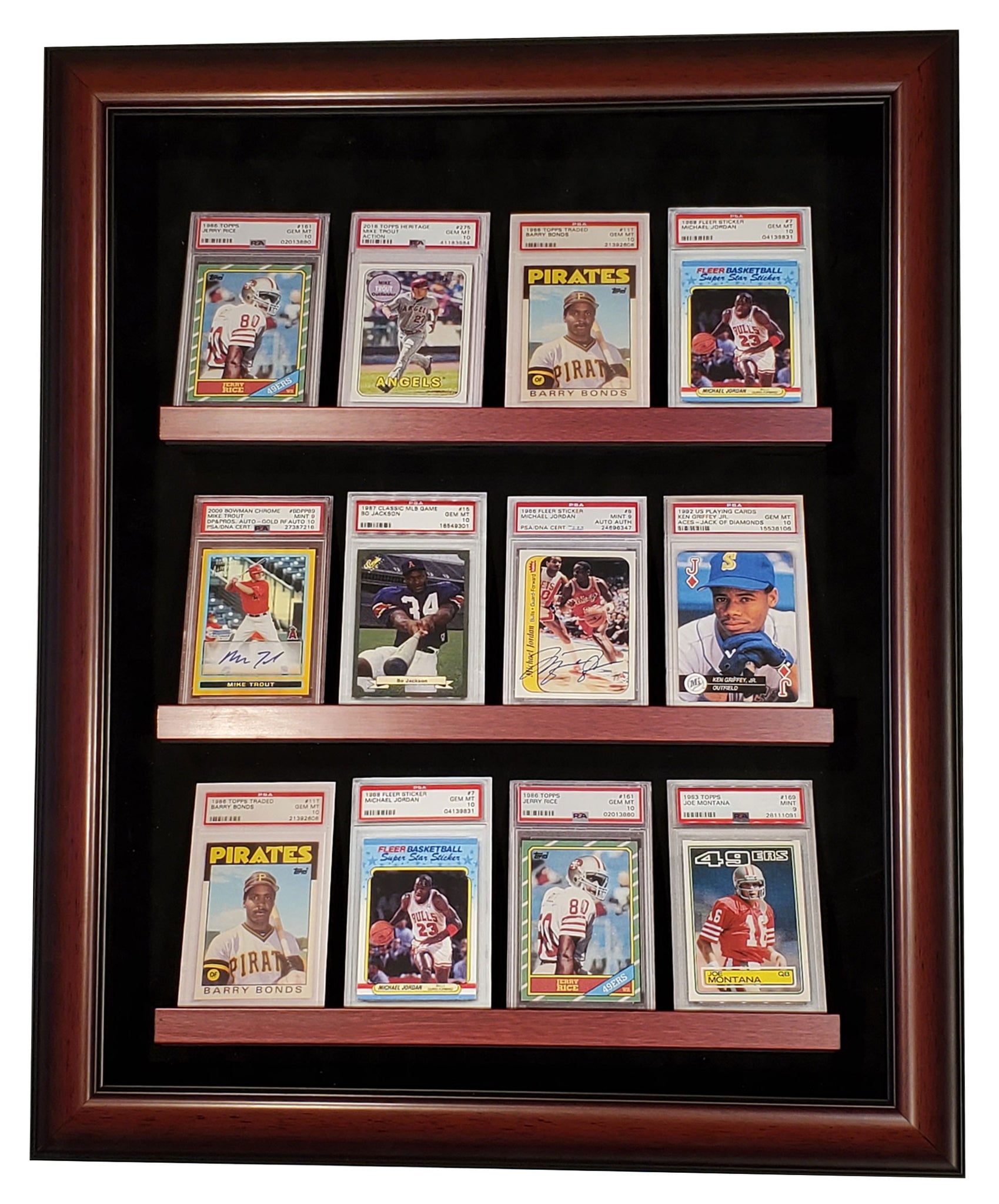 12 Graded Card Display Case Homeplate Heroes 12 Graded Card Display Case Homeplate Heroes