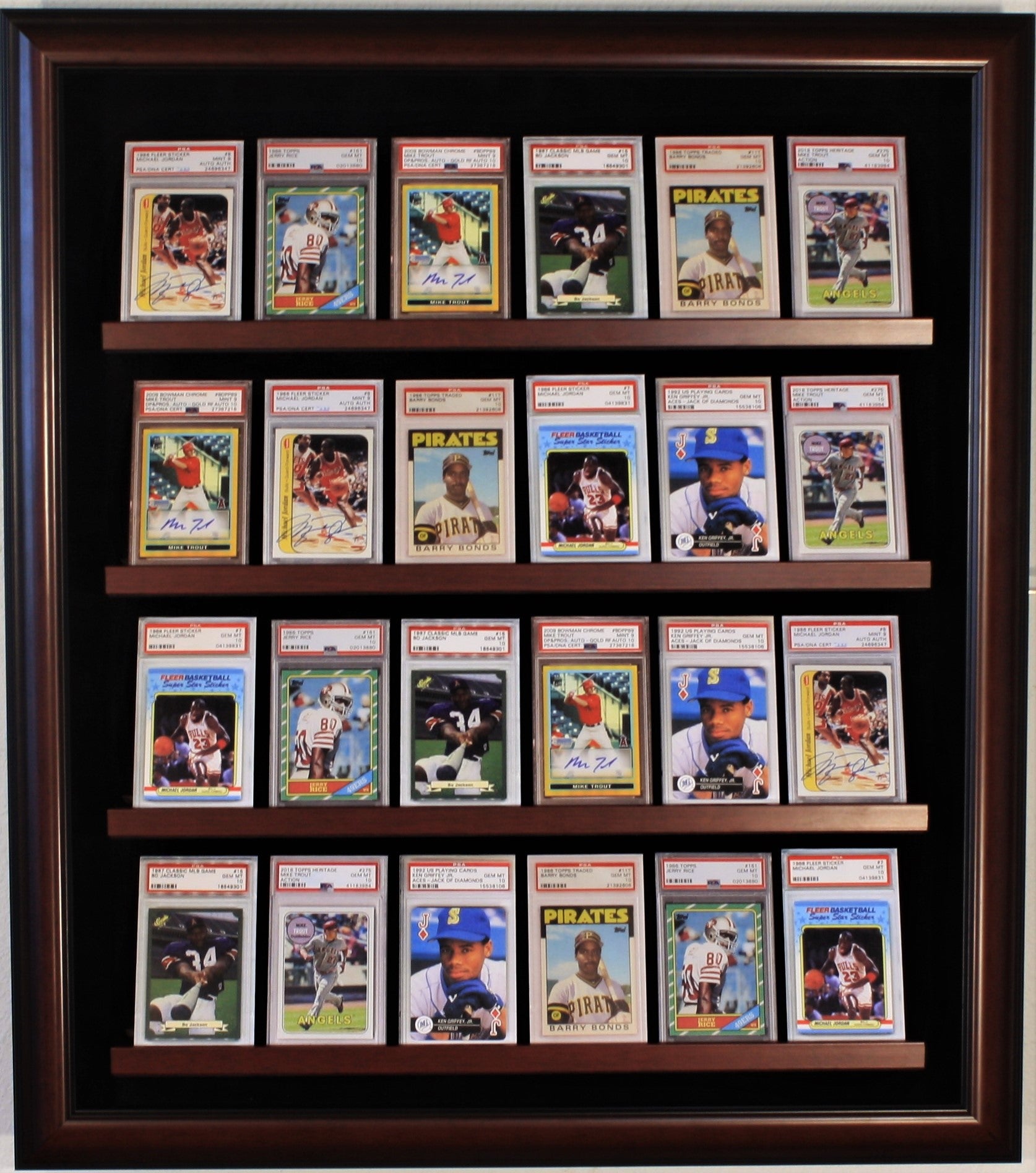 24 Graded Card Display Case Homeplate Heroes 24 Graded Card Display Case Homeplate Heroes