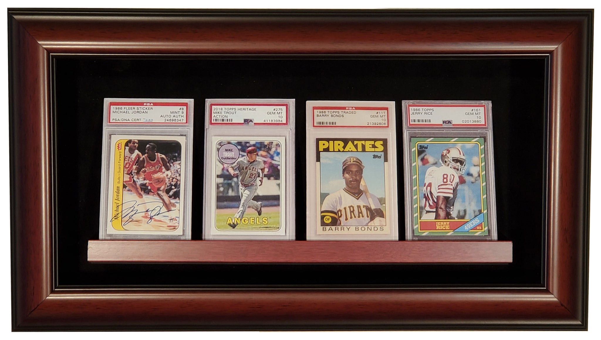 4 Graded Card Display Case Homeplate Heroes 4 Graded Card Display Case Homeplate Heroes