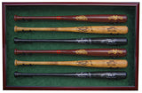 6 Baseball Bat Display Case