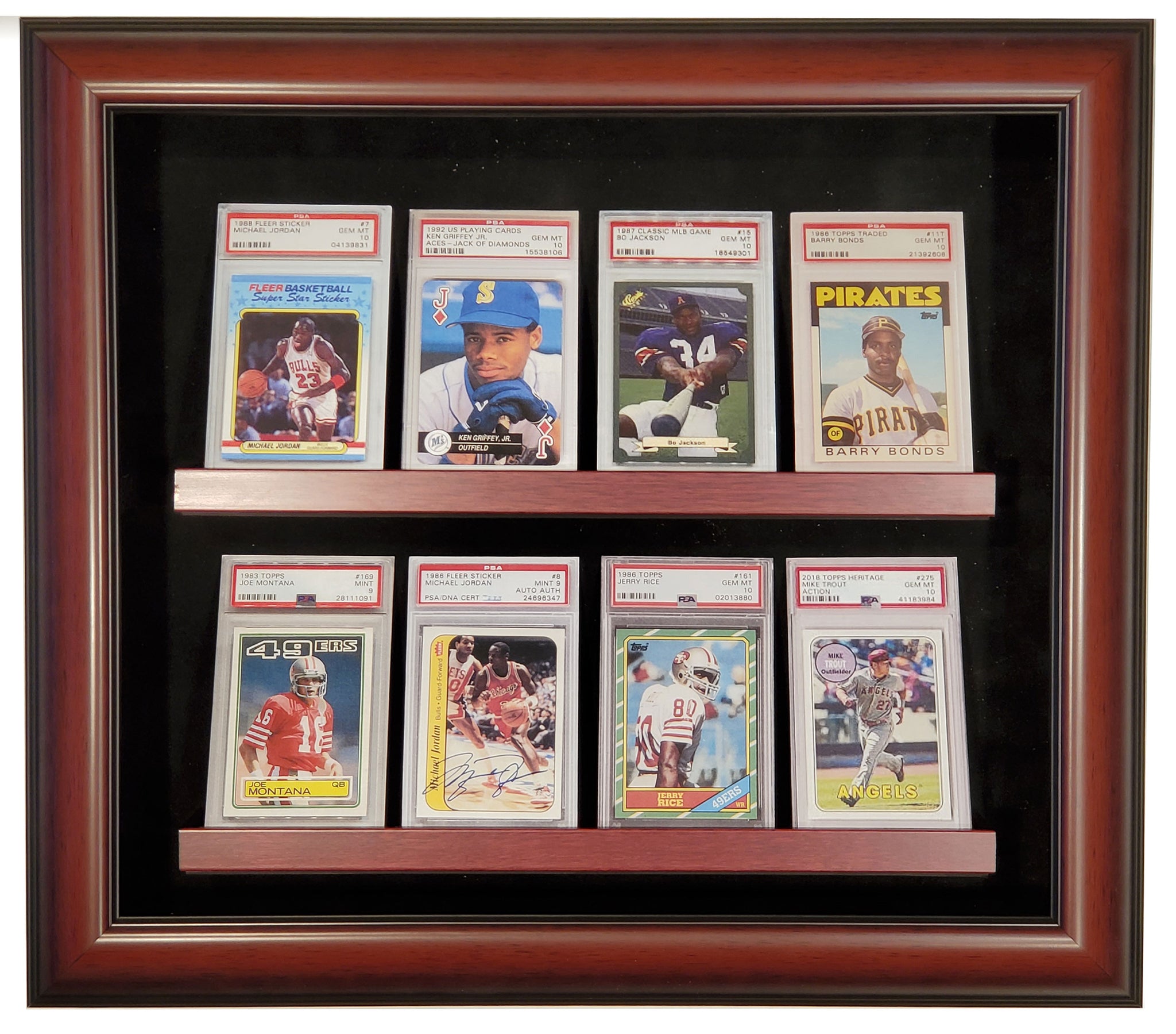 8 Graded Card Display Case Homeplate Heroes 8 Graded Card Display Case Homeplate Heroes